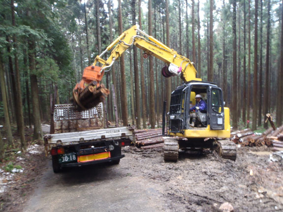 造林・素材生産